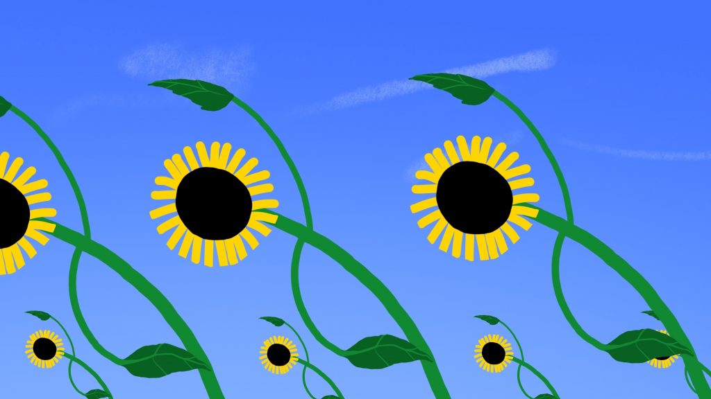 Sunflower, Natalia Chernysheva, LIAF, London International Animation Festival