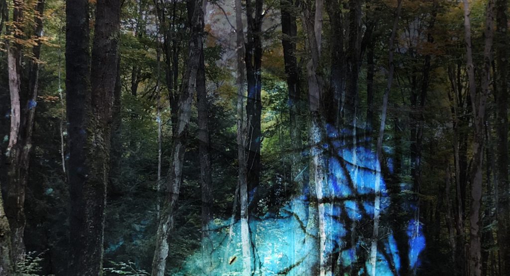 Fracture, Laura Kraning, LIAF, London International Animation Festival