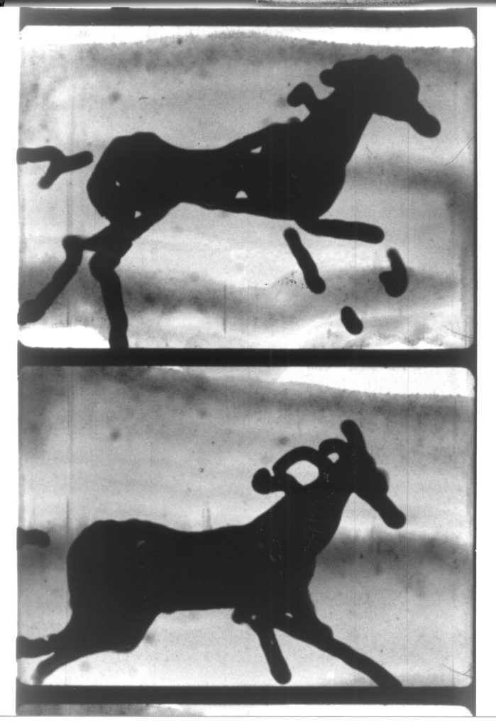 Gaia’s Dream, Rose Bond, LIAF, London International Animation Festival