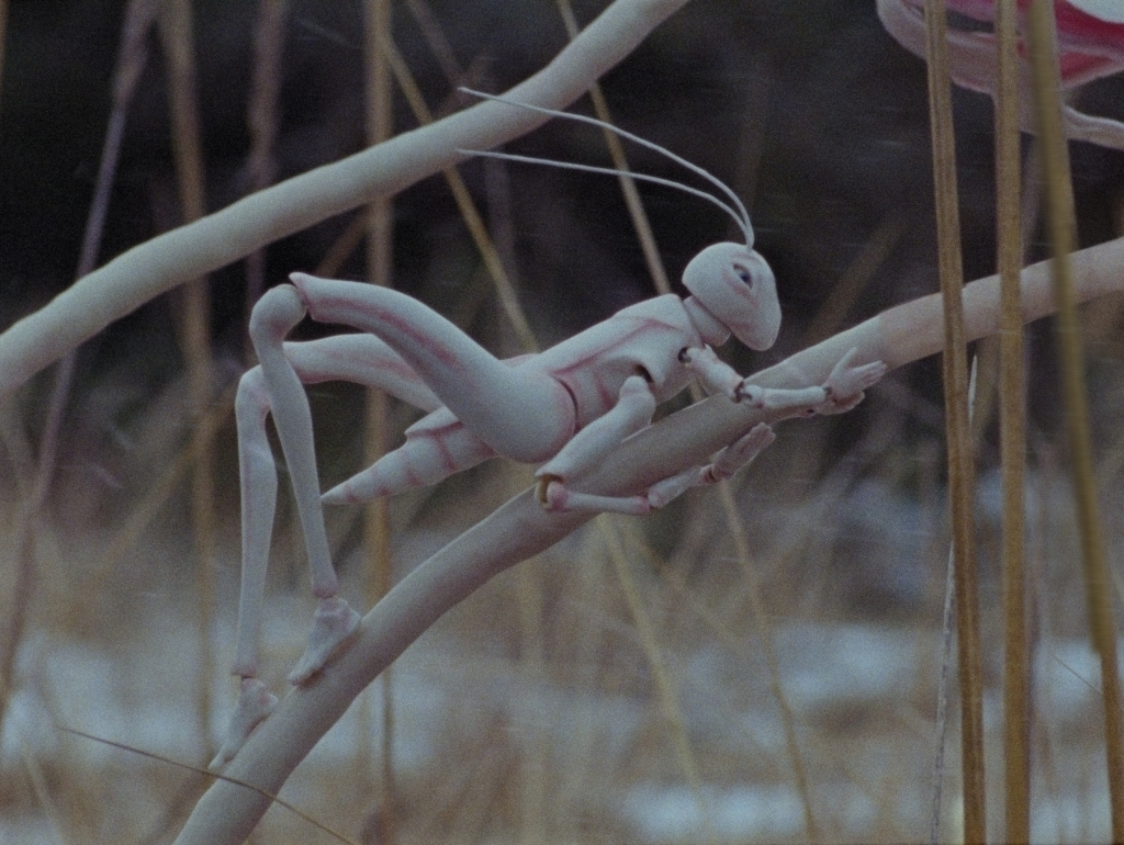 On Weary Wings Go By, Anu-Laura Tuttelberg, LIAF, London International Animation Festival