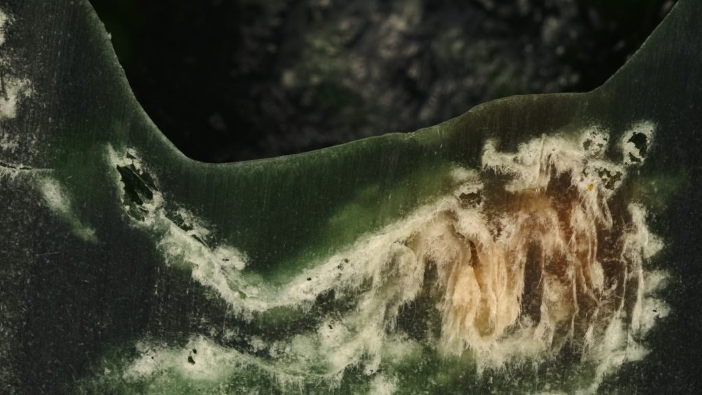 States of Matter, Marvin Hauck, LIAF, London International Animation Festival