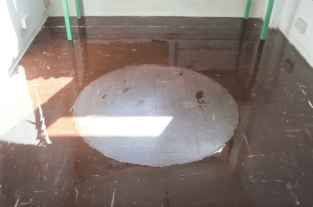 Water Meadow, Jane Cheadle, LIAF, London International Animation Festival