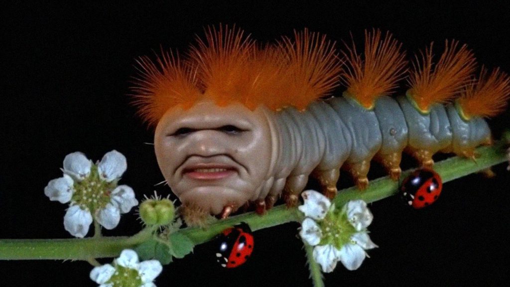 Aphex Twin - The Waxen Pith, KingCon, LIAF, London International Animation Festival