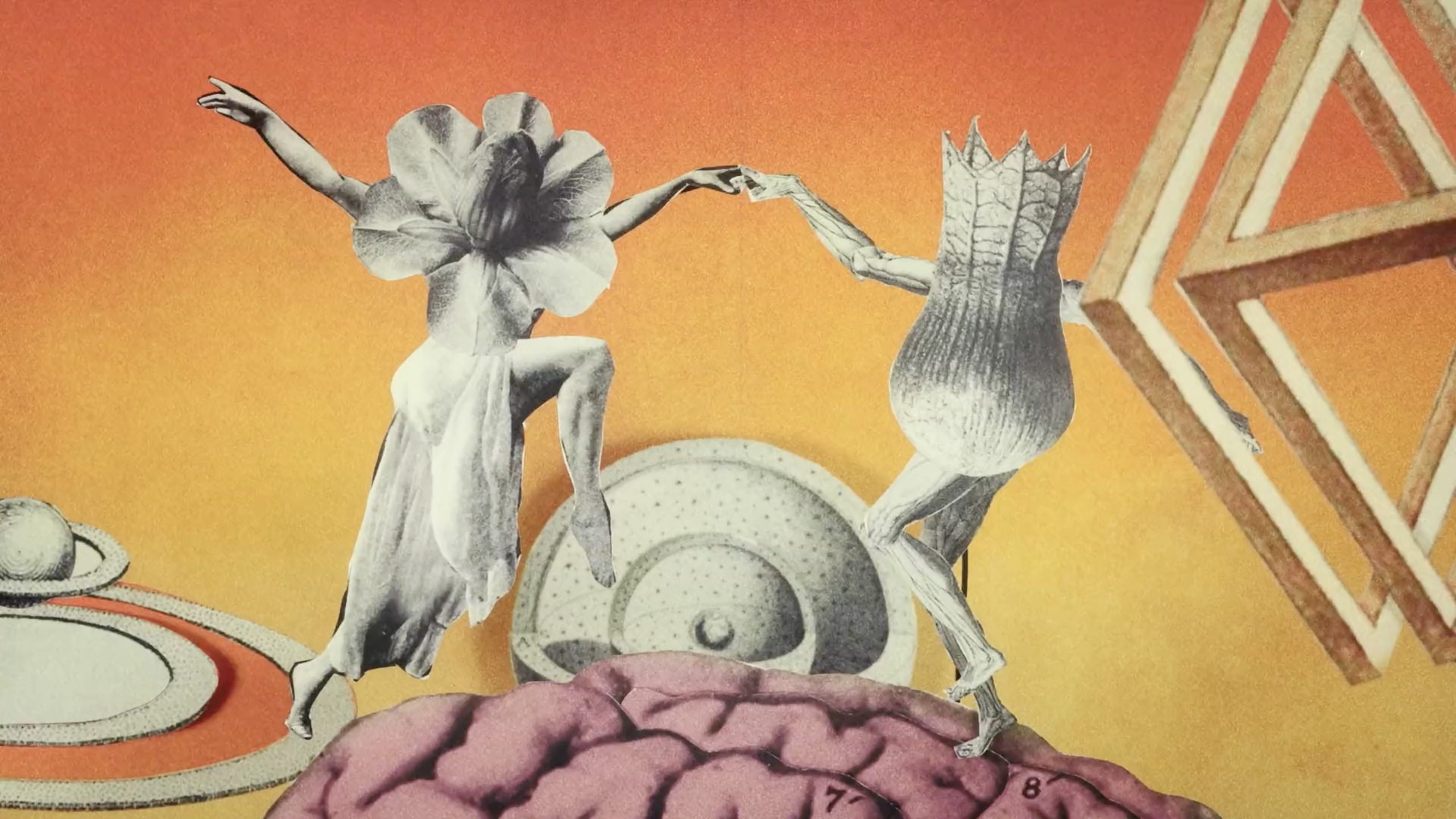 Foxwarren, Listen2Me, Winston W Hacking, LIAF, London International Animation Festival