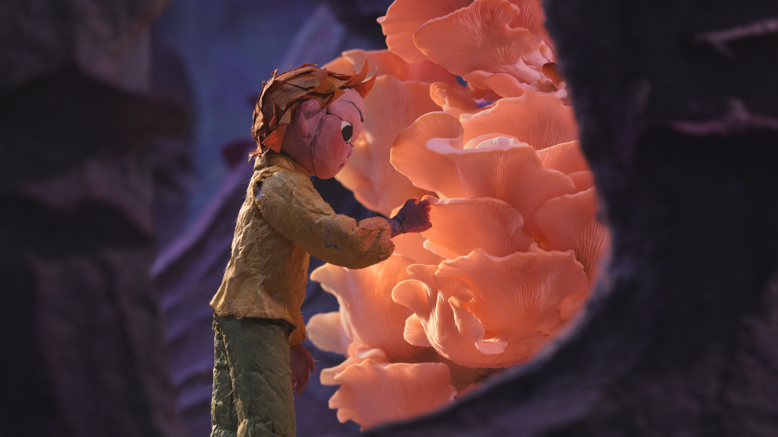 LIAF, London International Animation Festival, Fire in my pocket, Janka Feiner