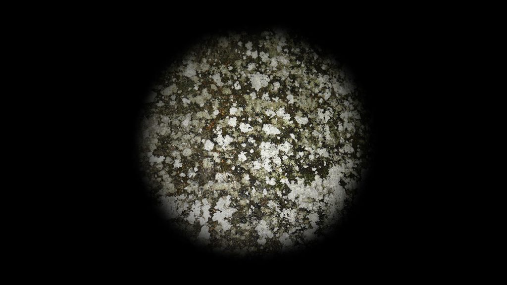 LIAF, London International Animation Festival, From Something to Nothing, Michael Heindl
