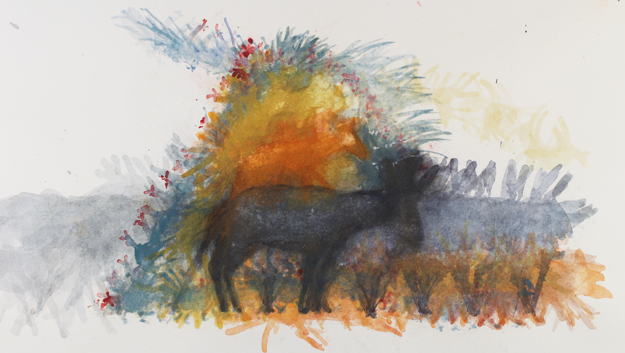 LIAF, London International Animation Festival, Tricky Women trailer, Elizabeth Hobbs