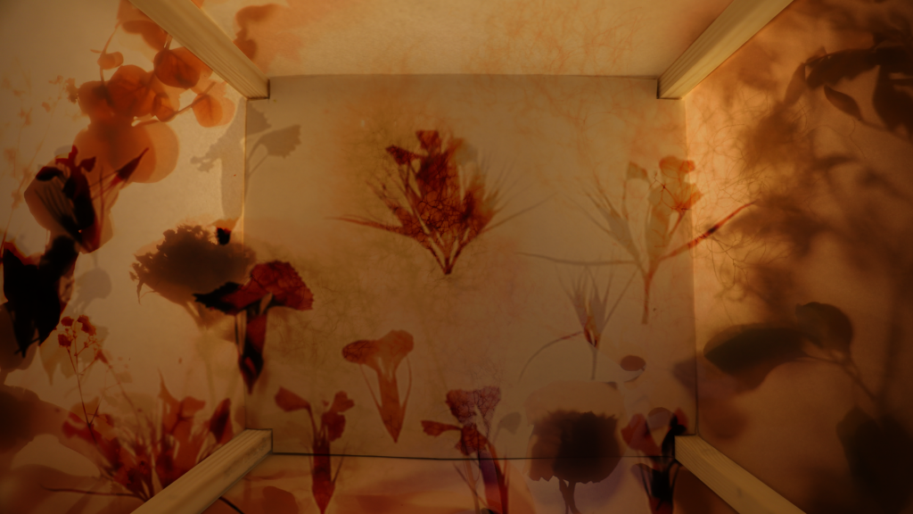 LIAF, London International Animation Festival, Making it Fit, Mariana Leal